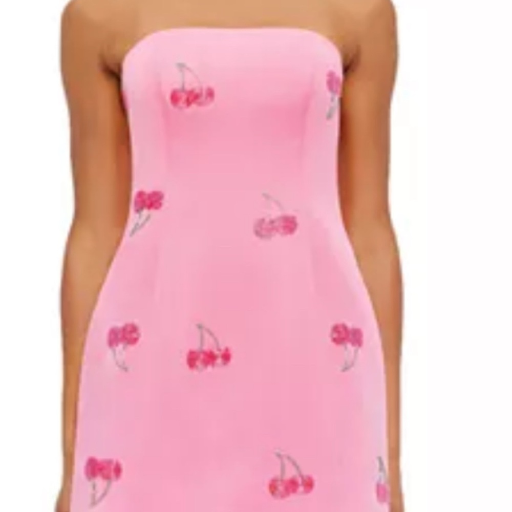 Roselle Mini Dress by Leo Lin